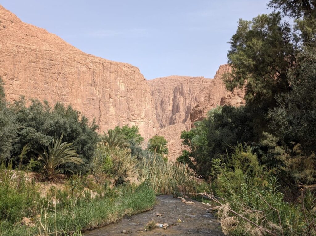 A highlight of the Morocco desert tour was Todra Gorge.