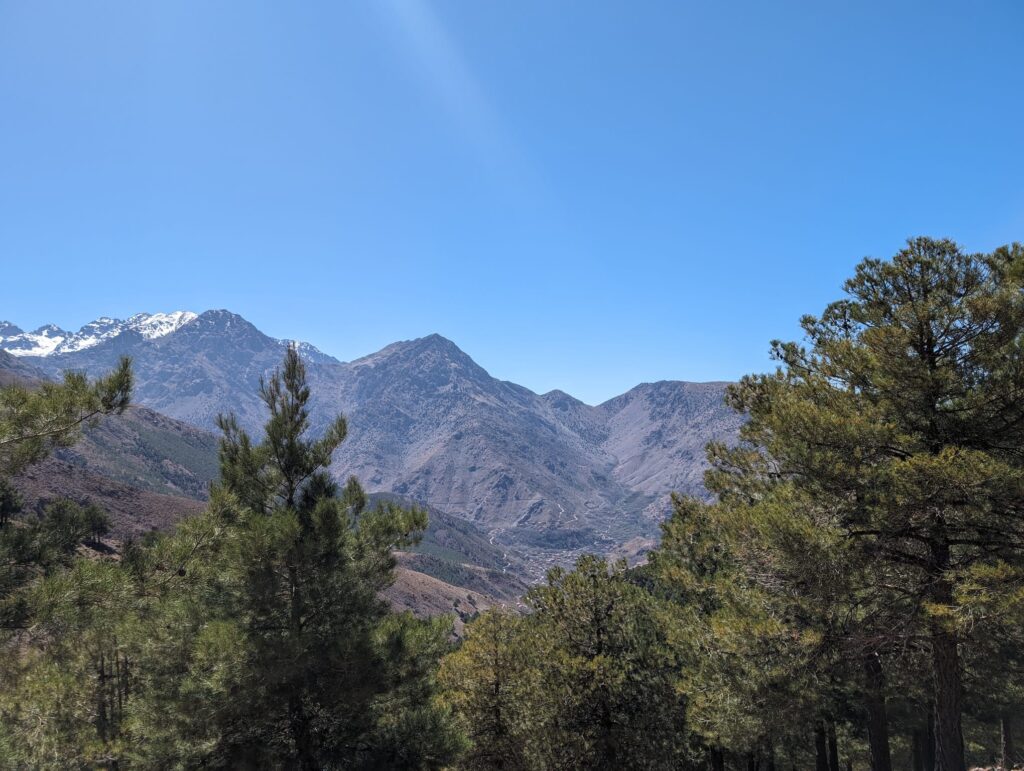 Snowy mountains in the background with dense forest in the foreground.